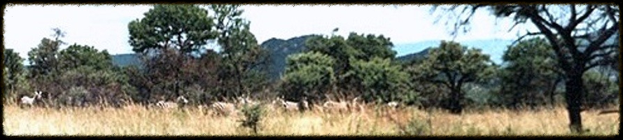 links banner 2